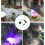 Auto Shutdown Fog Producing Device With Quiet Design Suitable-4 3