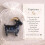 Zodiacs Pocket Hug Inspirational Keepsakes Exchange-C 6