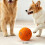 Motion Activated Jumping Pet Toy With Exciting Run-Blue 2