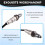 PYFA-18-8G1A Car O2 Sensor Oxygen Sensor for  3 6 CX-30 CX-5 CX-50 2018-2023 PYFA188G1A 5