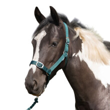 (Shetland, Green) Gallop Nylon Horse Head Collar & Lead Rope