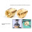 Watch Repair Tool Watch Movement Clockwork Box Removal Pad Tool Applies for 3