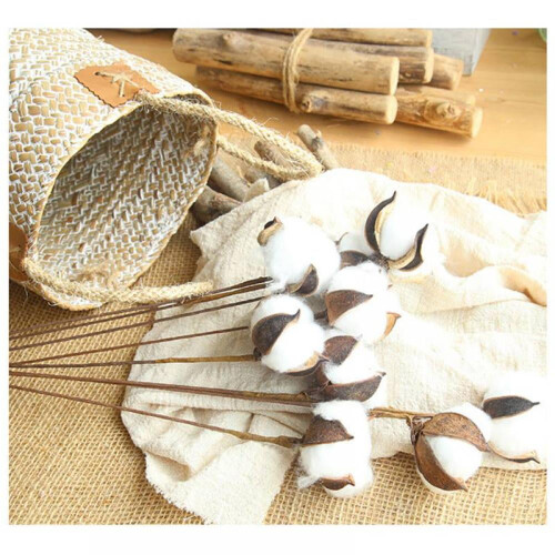 Tiges de coton blanc naturel 59 cm 1 pièce 1