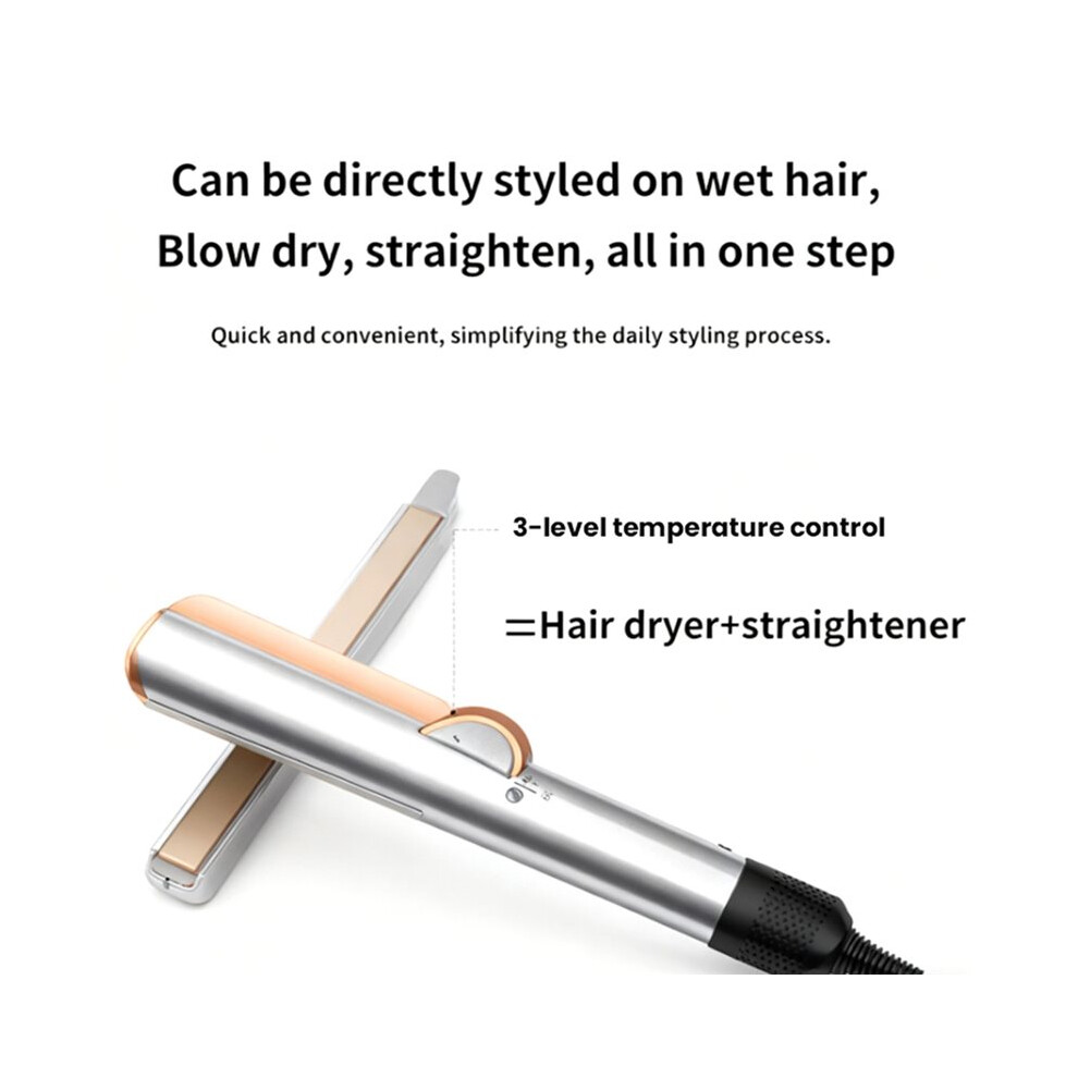 Professional 2-in-1 Hair Dryer and Straightener Negative Ion Iron Long Lasting Styling Tool WetandDry Straightener EU