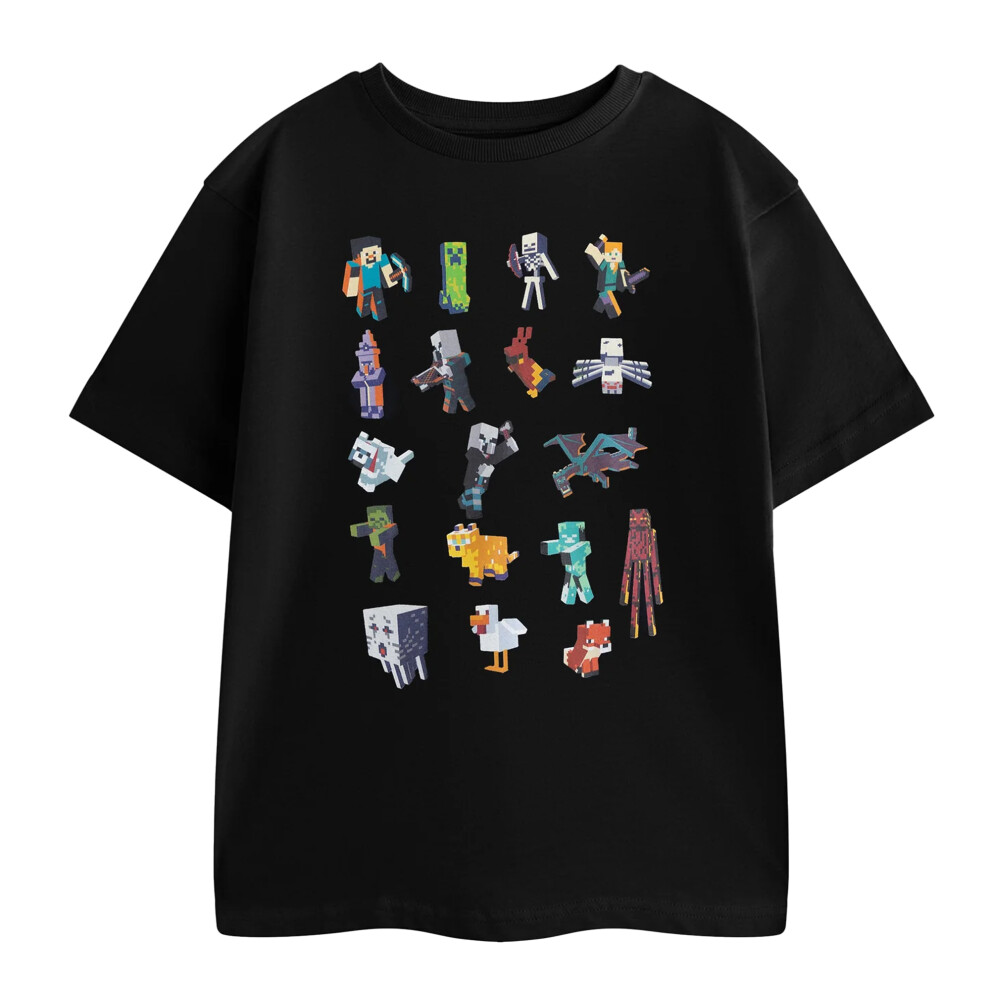 Minecraft (13-14 Years, ) Boys Sprites Short-Sleeved T-Shirt Black