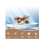Διαδραστικό παιχνίδι Flying Bird για γάτες, παιχνίδι για γάτες Flying Bird, επαναφορτιζόμ 4