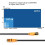 Cable Ethernet Cat 8 - HAUTSTORE - 10 m - 40 Gbps - 2000 MHz - SFTP 5