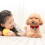 Collierpet Velours Clochette Pour Chat 8