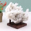 Wooden Rock Holder with Square Base and Three Peg Display-small 2