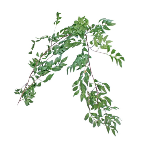 Artificial Green Rattan Vine Decoration170cm 1