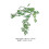 Artificial Green Rattan Vine Decoration170cm 4