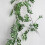 Artificial Green Rattan Vine Decoration170cm 5