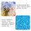 50 diy square decorative wood slices 4