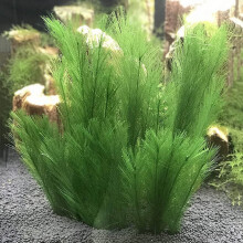 Aquarium Decorations Fish Tank Artificial Green Water Plants Made of Silk Fabrics Plastic,for All Fish and Pets 10Pcs