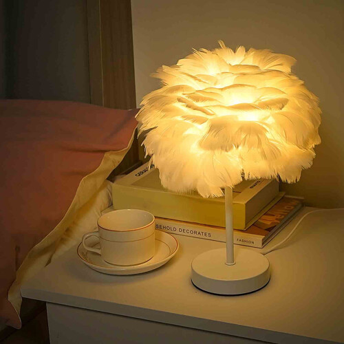 Lampada da tavolo con base in legno e piuma bianca 1