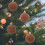 Flocking Christmas Balls 6cm Brown 12-Pack 5