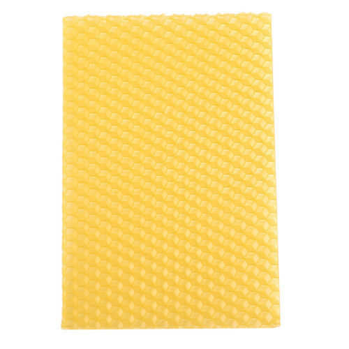 50PCS Beekeeping Hive Beekeeping Honeycomb Foundation Frame Hive Garden Hive Beekeeping Tools