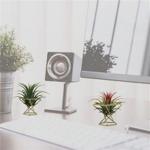 30 Pièces Séries Géométrique Air Plante Titulaire Support D'Usine D'Air Rack Plantes en Métal Stand Planteur ÉTagères Himmeli Décor Tillandsia