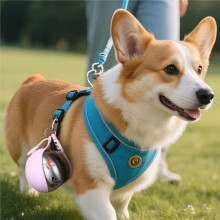 Bouteille D'Eau Portable 2 en 1 pour Petits Chiens - Bouteille Étanche et Compacte en Acier Inoxydable Bleu