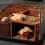 Plastic Hermit Crabs Shelter Cave Hideaways 3D Print-White L 6