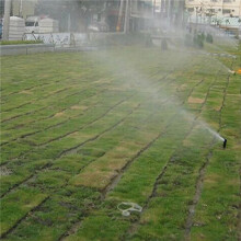 30Pcs - Sprinkler Lawn Tool Spray- for Garden Supplies 360 Degree Irrigation Equipment Gear Sprinkler