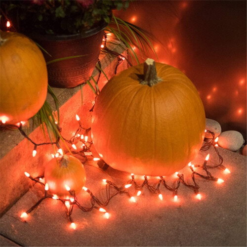Battery Operated LED String Lights 50 pcs 16.4 ft Green Wire 2