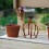 Elegant Crown Shape Flower Pot Container With Detachable Design 6