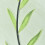 Transparent voile gardinpanel blomsterprint 100 tommer polyester 4