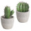 Artificial Cactus Bonsai Plant Set – 2 Pack 3