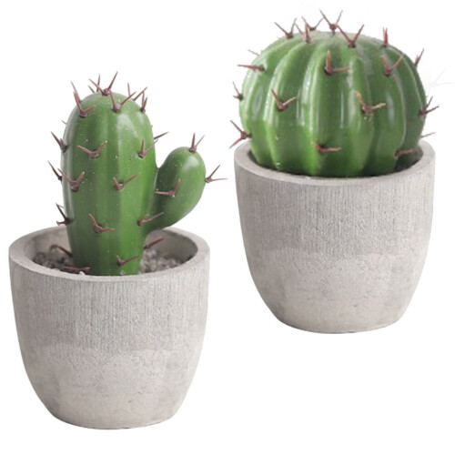 Artificial Cactus Bonsai Plant Set – 2 Pack 2