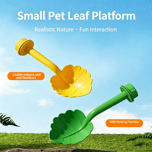 Green Perch Stand For Small Birds Feeding Bowl Training-Yellow 2
