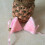 Realistic Artificial Cats Ears Headwear for Costume-White 5