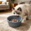 Multifunctionele Slow Feeder voor honden,- Echt rood 6