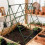 Garden Plant Fixed Clips Regulable Plant Stem Clip for 7
