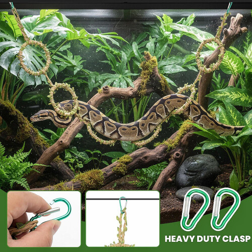 Interactive Circular Snake Climbing Rope Pet Climbing Rings Toy 1