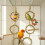 Interactive Circular Snake Climbing Rope Pet Climbing Rings Toy 4
