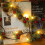 Pine Cone Garland Lights, Battery Operated, 2m with 20 LEDs 5