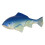 Koi Fish Garden Statue Ceramic with Stake 1 Piece 2
