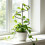 Indoor Stackable Plant Trellis Climbing Plant Small Plant-Black 3
