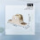 1.6cm Dia Single Roller Window Pane Pulley Doors Wheel Silver + Gold 7