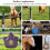 Sangles de seau à cheval en Nylon robuste,-5 couleurs mélangées 5