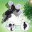 Four Outlets Atomizing Misting for Outdoor Cooling Systems 1