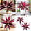 Artificial 3D Printed Brazilian Wood Tree For Creative-18 heads 1