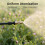 Pulvérisateur agricole haute pression, buse d'atomisation ronde 2