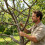 Clips de croissance d'arbre fruitier, 24 pièces, métal-7 4