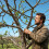 Clips de croissance d'arbre fruitier, 24 pièces, métal-7 5