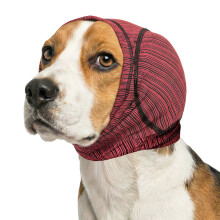 Hond Verzorgen Oor Wrap Zachte Geluidsbestendige-Rode S