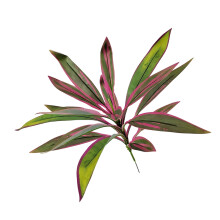 Fascinating Artificial Brazilwood Dracaena Tree-pink green