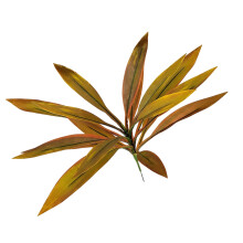 High Quality Artificial Brazilwood Dracaena Plant Silk-coffee