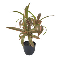 Realistic Artificial Bamboos Palms- Spiral. Red edged banana